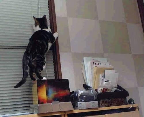 开云体育-_国际虚拟网球大赛：云端模拟挑战极限_，虚拟网球安卓下载