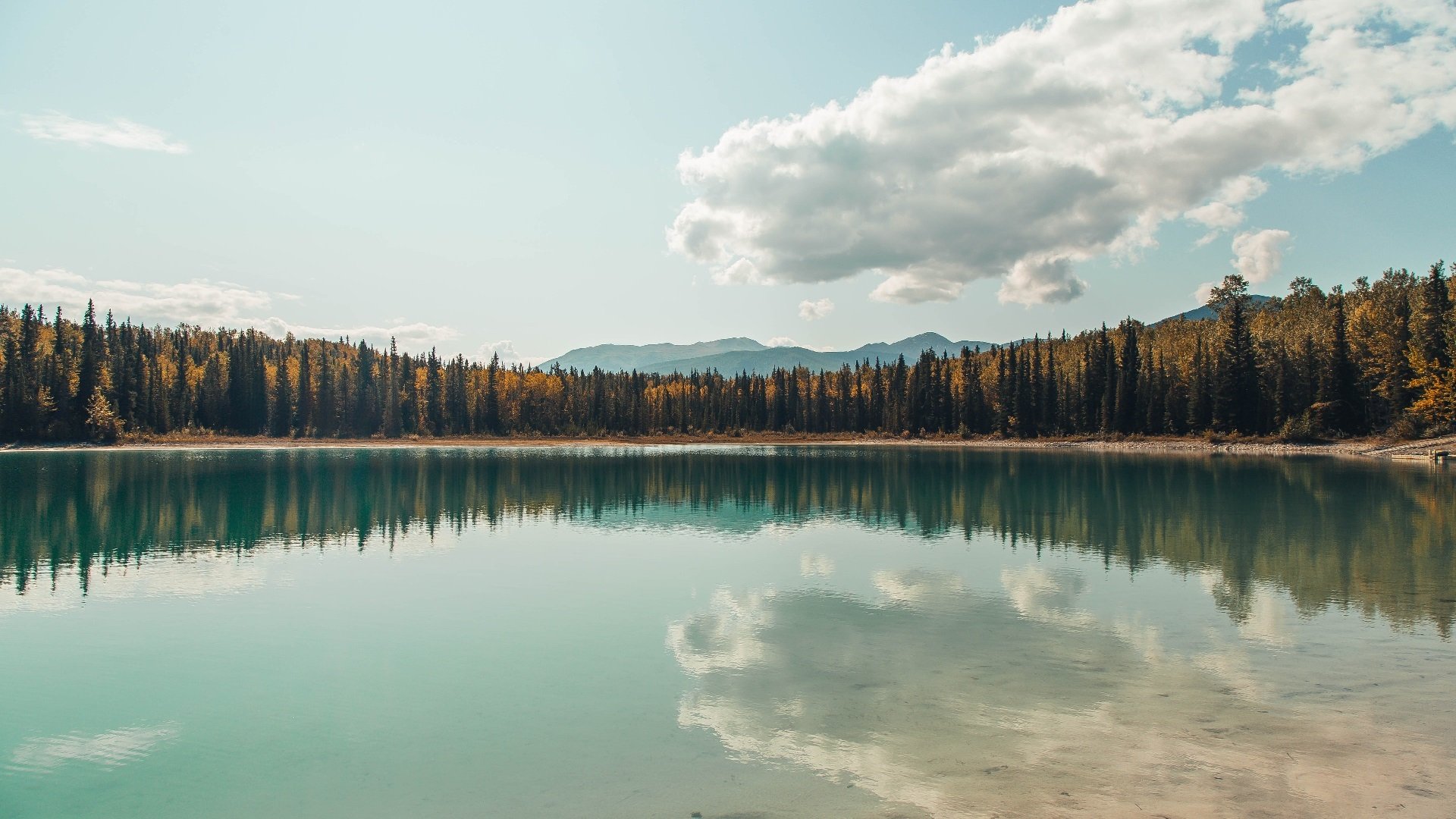 开云下载-“全民健身 运动三秦”广场舞公益推广活动在陕西商洛成功举办，陕西省第三届全民健身运动会广场舞