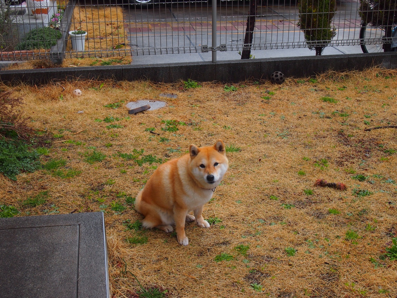 开云体育官网下载安装-《微软收购XEG战队，电竞巨头布局全球市场》，微软 收购