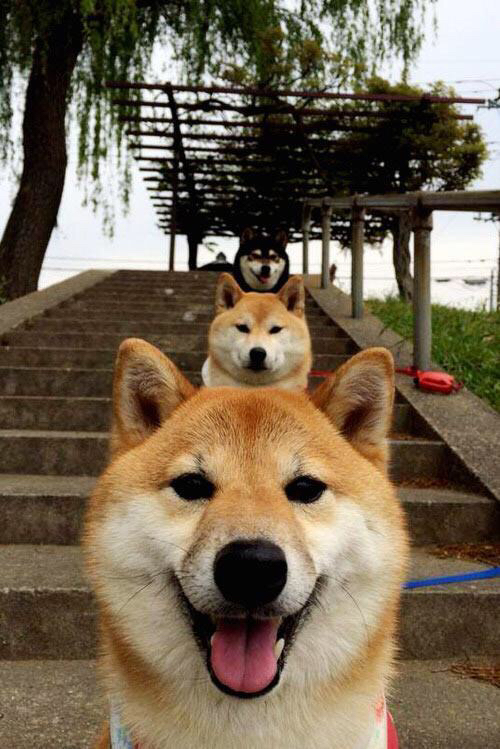 Kaiyun(中国)开云-【战术大PK】奥沙利文精通的多变攻防战术解析，奥沙利文的防守