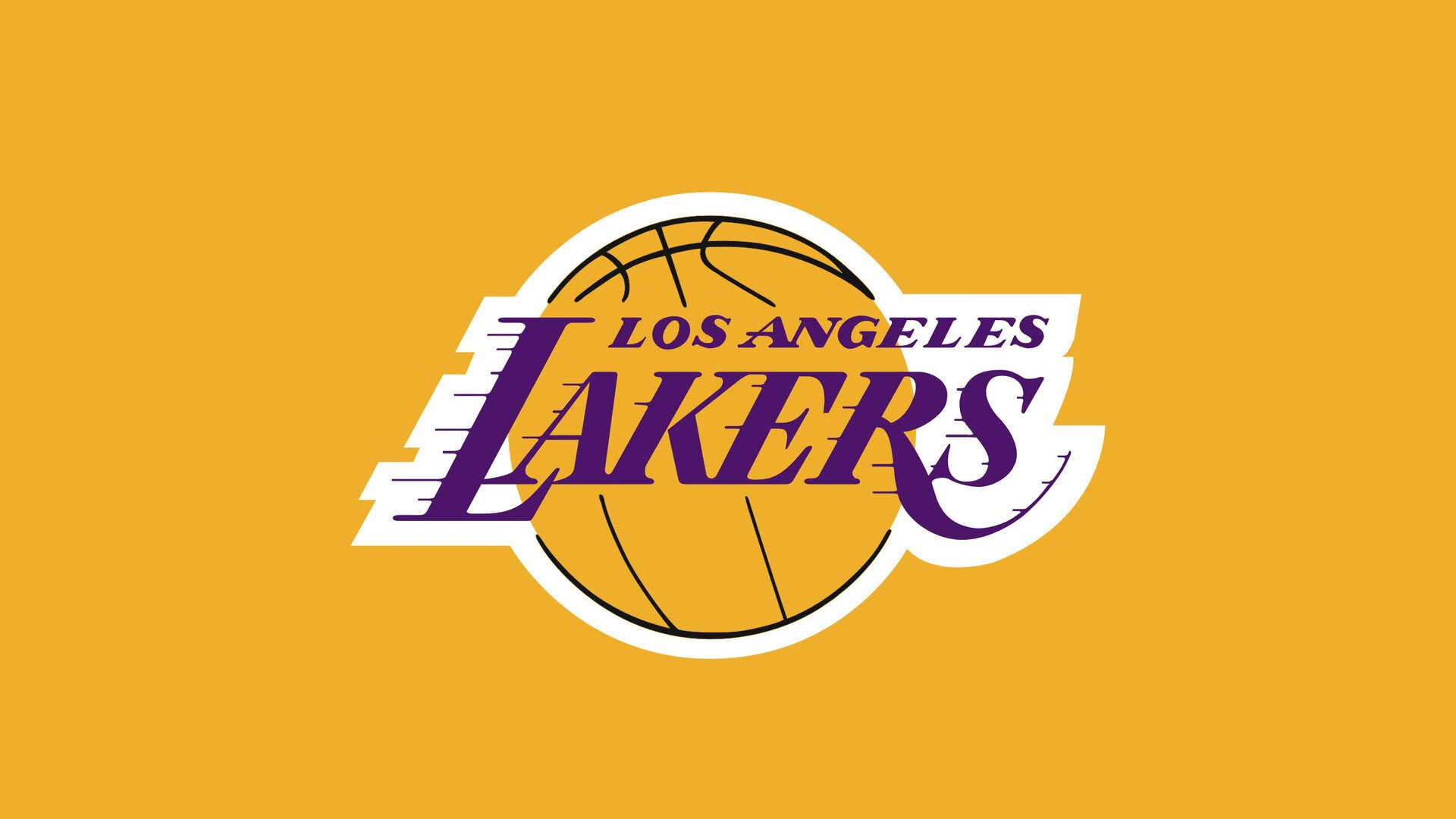 塞内加尔马术协会与国际组织合作，推广“Lamb”至全球。，塞内加尔体育馆