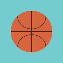 kaiyun 开云体育-篮球运动员专项技能动作运动控制机制分析，篮球运动技能简介